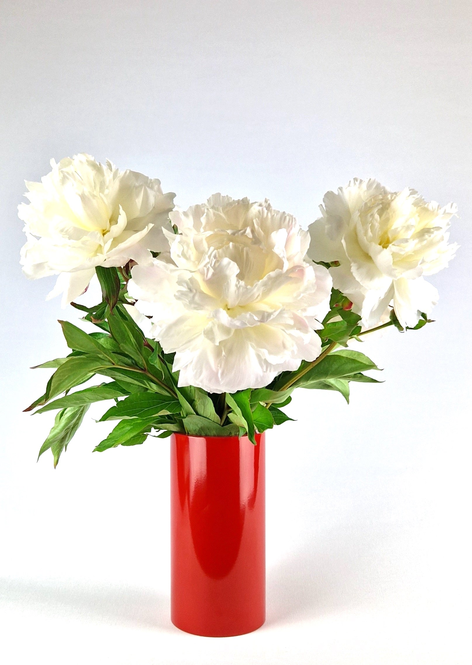 Design Vase made in Zurich. Dazurelle. Blumen. Floristik.