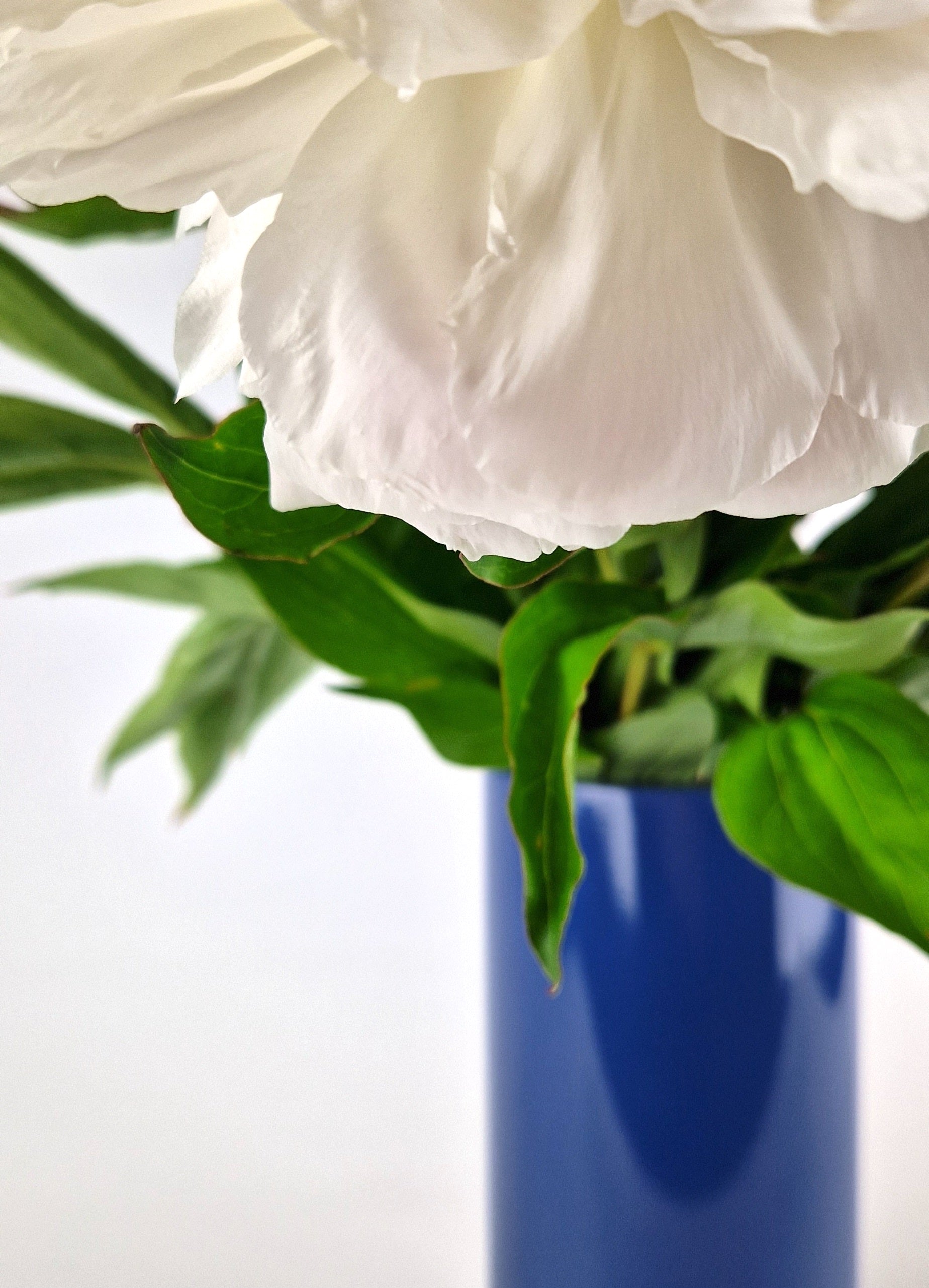 Design Vase made in Zurich. Dazurelle.