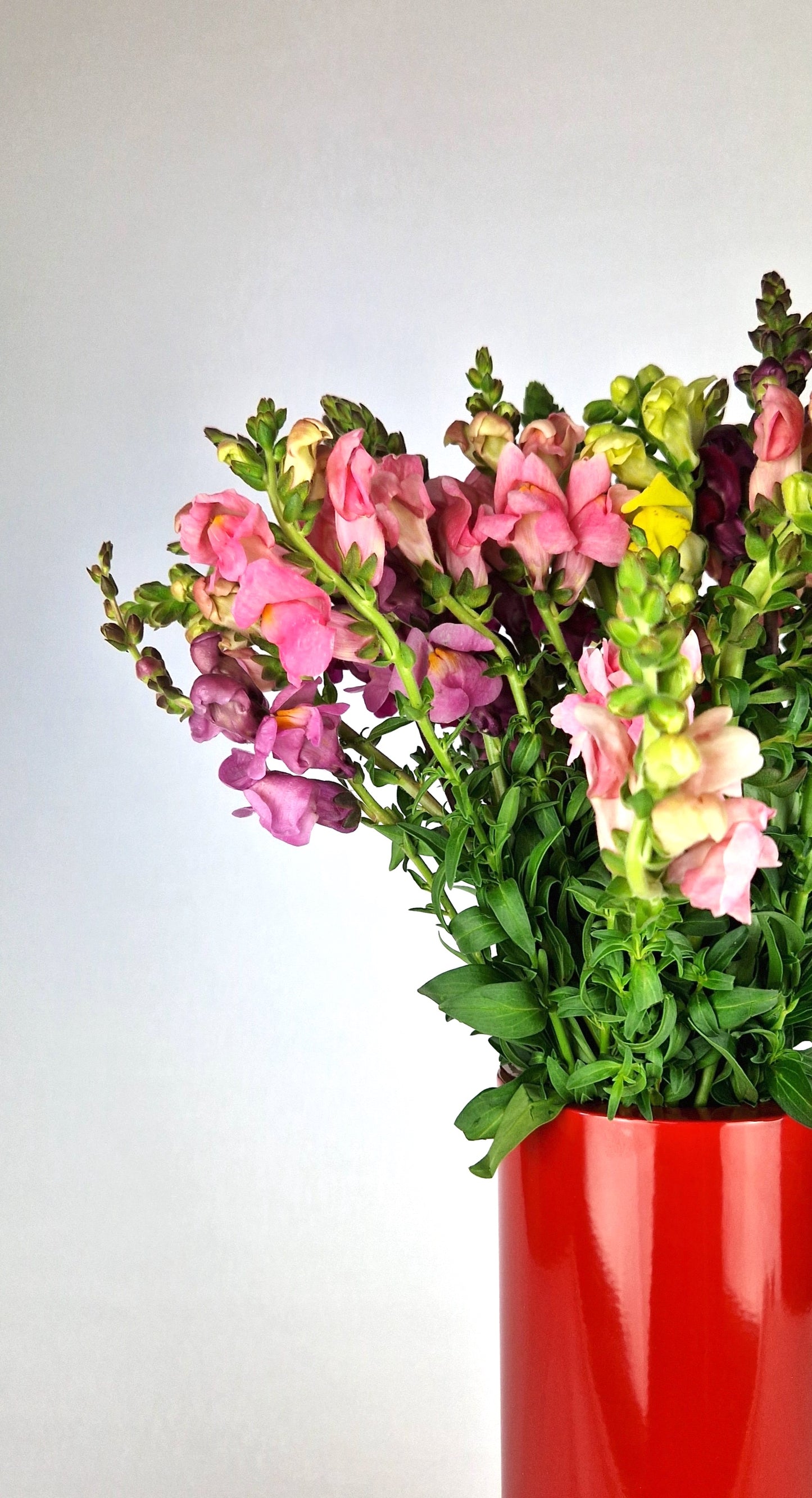 Design Vase made in Zurich. Dazurelle. Blumen. Floristik.