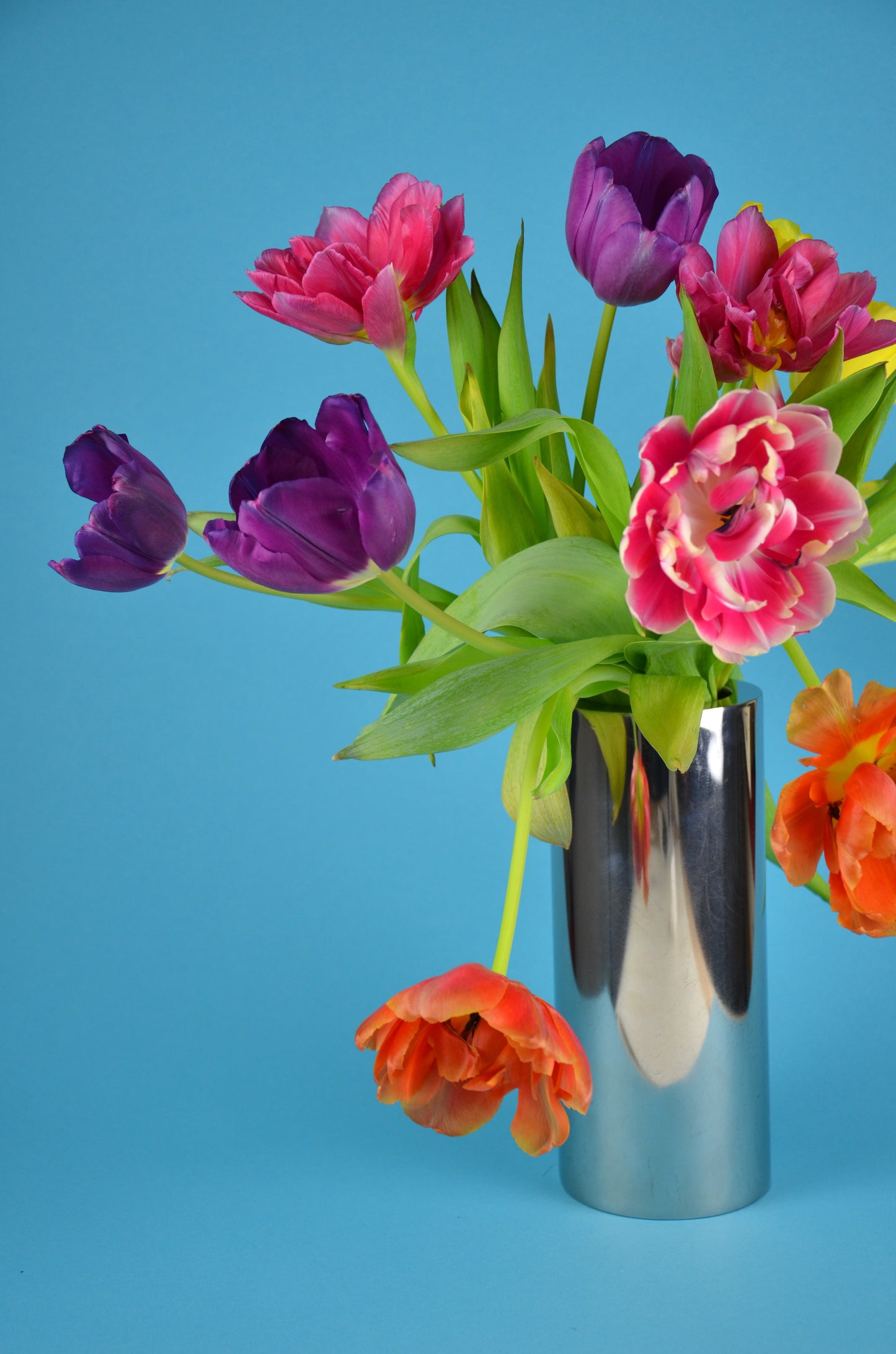 Design Vase aus Zürich Schweiz